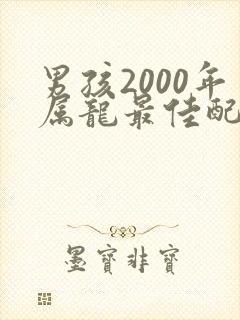 男孩2000年属龙最佳配偶属相