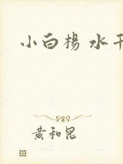 小白杨 水千丞封面