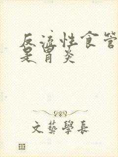 反流性食管炎或是胃炎