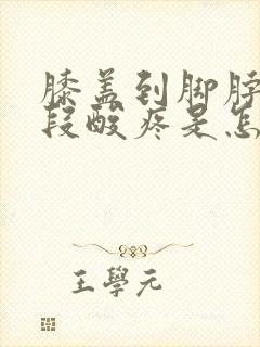 膝盖到脚脖子这段酸疼是怎么回事封面