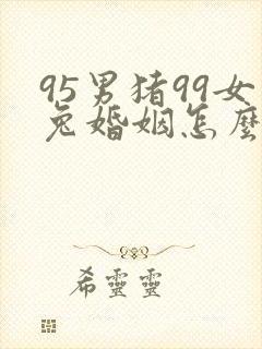 95男猪99女兔婚姻怎么样