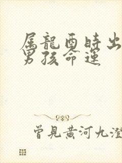 属龙酉时出生的男孩命运