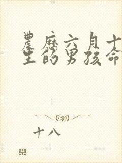 农历六月十四出生的男孩命运