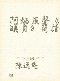 阿炳原声《二泉映月》简谱