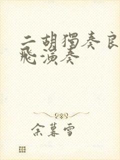 二胡独奏良宵宋飞演奏