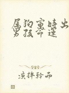 属狗寅时出生的男孩命运