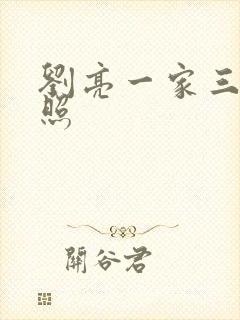 刘亮一家三口近照