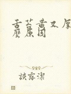 舌苔黄又厚是什么原因