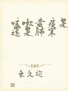 咳嗽黄痰是肺热还是肺寒