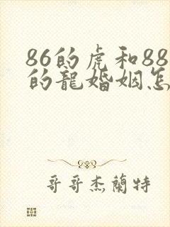 86的虎和88的龙婚姻怎么样