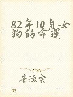 82年10月女狗的命运