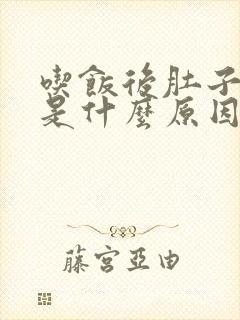 吃饭后肚子胀气是什么原因