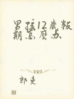 男孩12岁叛逆期怎么办