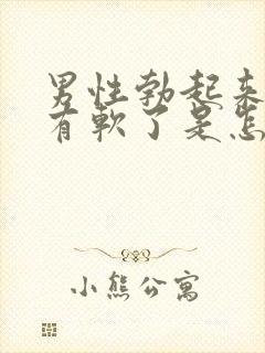 男性勃起来很快有软了是怎么回事封面