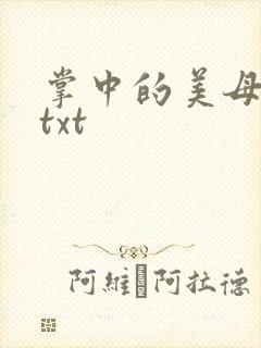 掌中的美母版主txt