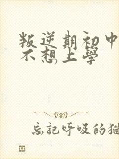 叛逆期初中男孩不想上学封面