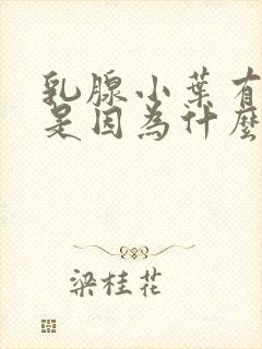 乳腺小叶有增生是因为什么引起的