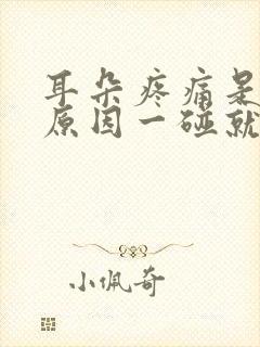 耳朵疼痛是什么原因一碰就疼