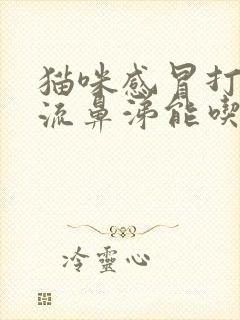 猫咪感冒打喷嚏流鼻涕能吃人的药么