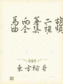 马向华二胡独奏曲全集视频封面