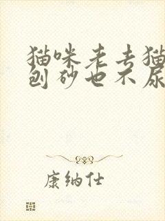 猫咪老去猫砂盆刨砂也不尿