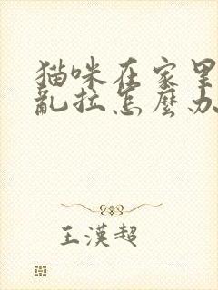 猫咪在家里乱尿乱拉怎么办封面