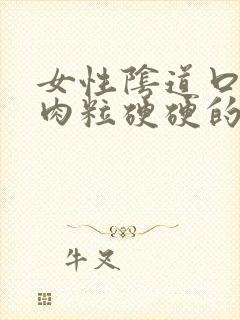 女性阴道口上有肉粒硬硬的