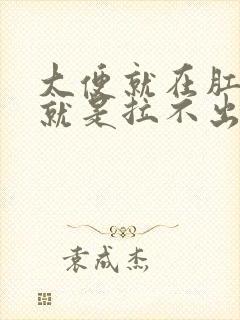 大便就在肛门口就是拉不出来怎么办