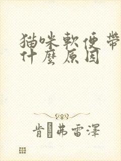 猫咪软便带血是什么原因