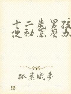 十二岁男孩长期便秘怎么办