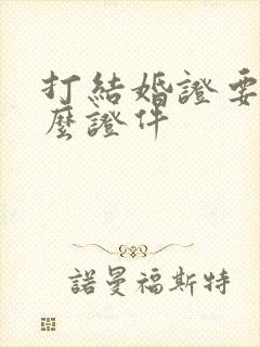 打结婚证要带什么证件