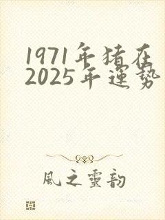 1971年猪在2025年运势