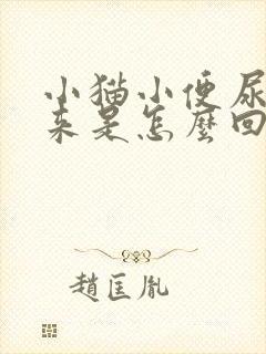 小猫小便尿不出来是怎么回事