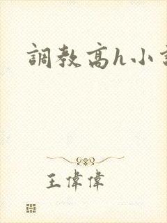 调教高h小说封面