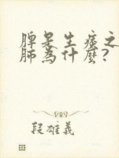 脾是生痰之源,肺为什么?封面