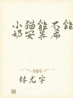 小猫能不能喝酸奶安慕希