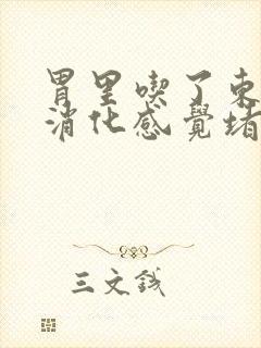 胃里吃了东西不消化感觉堵得慌