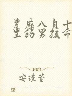 农历八月十六出生的男孩命运