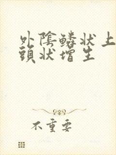 外阴鳞状上皮乳头状增生