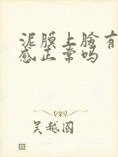 泥膜上脸有刺痛感正常吗