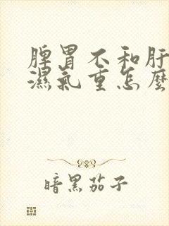 脾胃不和肝火旺湿气重怎么调理