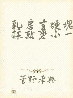 乳房有硬块揉一揉就变小一点