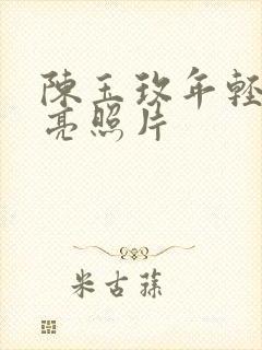 陈玉玫年轻最漂亮照片封面