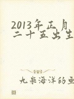 2013年正月二十五出生的男孩命运