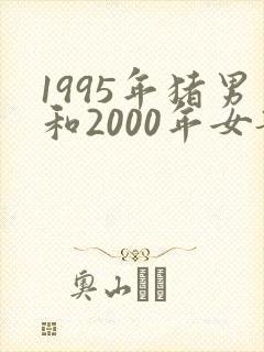 1995年猪男和2000年女龙能婚配吗