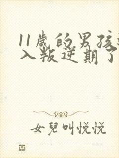 11岁的男孩进入叛逆期了吗封面