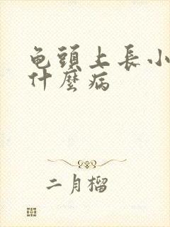 龟头上长小泡是什么病