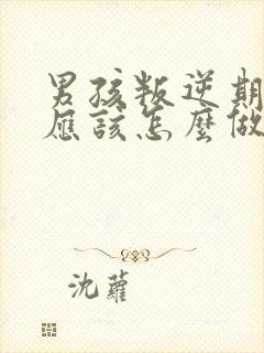 男孩叛逆期父母应该怎么做封面