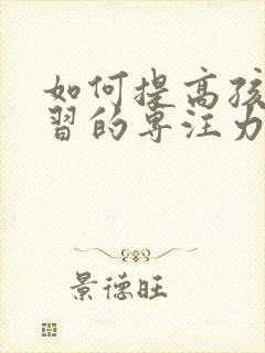 如何提高孩子学习的专注力封面