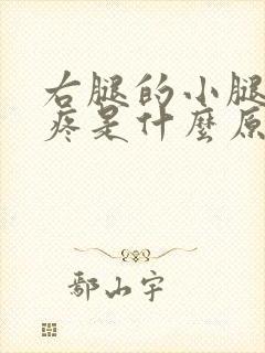 右腿的小腿外侧疼是什么原因